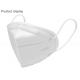 95% Filtration Kn95 Face Mask With Elastic Earloop Disposable Particulate Respirator