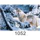 0.6mm Thickness 3D Lenticular Images  ,  Advertising Poster 3D Wolf Picture
