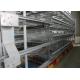 Professional Layer Poultry Farming Equipment Easy Use Environment Friendly