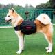  				Balck Advanced Version 1000d Nylon Dog Fanny Pack Heavy Duty Water-Resistant K9 Dog Pack 	        
