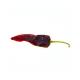 B2B Buyers Leading Choice Chilli Peppers In 10kg Or  25kg/Bag