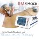 Double Channel Physio Electromagnetic Therapy Machine Shockwave EMS For Pain Management