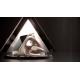 Popular Portable Ultrasonic TT MPTSTL Anti-Aging Face Lifting Skin Tightening Wrinkle Remover Machine