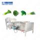 Fruit Vegetable Washing And Peeling Machine Air Bubble Washing Machine Ozone