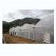 150/200 Micro Covering PE Multi Span Film Greenhouse For Tomato Farming In Agriculture