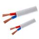 JB/T8734.2012 1.5 Square 2-Core Power Plug Cable Wire Soft Cover Flexible Wire Copper Household