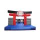 Karate Kids Inflatable Bounce House For Kindergarten / Home Yard