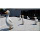 Popular Outdoor Metal Animal Sculptures , Duck Metal Animal Ornaments