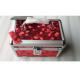 Red Pink Beautify Cosmetics Case 3 Pcs Set Storage With Combination / G Lock