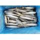 IQF Fish 110g 130g Fresh Frozen Mackerel For Hotel
