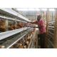 Tanzania Farm 4 Tier Chicken Layer Battery Cage , Poultry Cage System