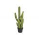 Eco-Friendly Plastic PE Faux Ever Greenery Fake Cactus Plant OEM ODM