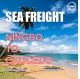 27 Days Sea Freight Shipping Agency From Ningbo To Caucedo Dominican Republic