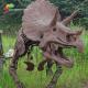 Road Decoration Dinosaur Triceratops Skeleton