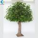 5-10 Years Lifetime Artificial Evergreen Trees , Coffee Shop Ornament Fake Oak Tree