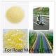 Road Marking Paint Hot melt adhesives light yellow  Pertroleum Hydrocarbon Resin C5 color3#-4# granule soft point 97-103