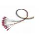 12 Core LC 0.9mm MM OM4 Fiber Optic Cable Pigtail