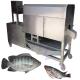Tilapia cleaning and gutting machine Herring Killing Fish Evisceration and Scaling Machine Fish Open Belly Machine
