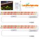 New LED Sunlight Full Spectrum Double Light Plant Grow Light Strips Light for Indoor Plants