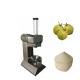 220V Food Processing Machines Electric Automatic Coconut Skin Peeling Machine