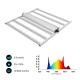 Plant Vertical LED Grow Light Facilities Indoor Climate Controlled