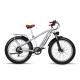48V 17.5AH LG Battery Retro Electric Bike With Front Suspension 1000W Motor Power