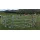 22Panel Cattle Corral Panels  Inc Gate, Round Yard, Cattle Fences  15m Diameter