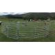 Horse Round Yard panel inc gate Livestock Cattle Sheep Oval Rail holding yard