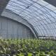 Customizable Vegetable Film Hydroponics Greenhouse System for Multi-Span Efficiency