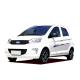 China Raysince hot sales model 5 door new energy car 4 Seat smart electric car