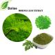 Antibacterial Moringa Oleifera Plant Herbal Extract For Wounds