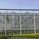 Farming Venlo Aluminum Frame Glass Greenhouse For Agriculture Growing