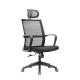 Skeletal Back Frame Mesh Pc Chair , 60mm Executive Swivel Tilt Chair