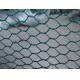lowest price chicken wire mesh/chicken wire netting/hexagonal wire mesh (factory manufacture)
