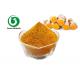 Organic Turmeric Root Extract Powder Soluble Curcumin Supplement