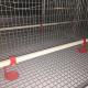 Manual Feeding System Poultry Chicken Cage For Baby Chick 20 Years Life Span