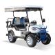 OEM Chinese 2 Passenger Electric Vehicle Golf Cart 30mph Low Speed With CE Certificated