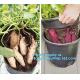 Tomato Potato Carrot Onion Peanut Growing Pot Garden Planter Pot,PP potato grow pot planting bag, bagplastics, bagease