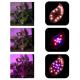 DC 5V Tree Leaves Type USB Waterproof LED Grow Light with Timer for Vegetables Flowers and Indoor Potted Plants