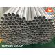 ASTM A213 / ASME SA213 TP310S S31008 Stainless Steel Seamless Tube for Superheater