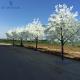 Water Proof Health Artificial Cherry Blossom Tree For Roadside / Plaza
