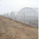 9x30m Plastic Tunnel Greenhouse Covered Plastic Film For Vegetable Growing