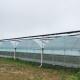 Durable Hot-dipped Galvanized Frame Plastic Film Agricultural Greenhouse with PE Span Single/ Multi
