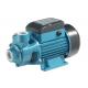 QB60, QB-70, QB-80, vortex pump, peripheral pump, cast iron, surface pump