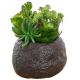 ODM Silver Color Artificial Succulent Plants For Home Desk
