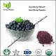 acai berry supplement extract,acai fruit extract,Acai Berry Supplements,Pure Acai Berry Extract Powder