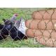Stainless Chicken Wire Fabric For Rabbit Protection , Low Carbon Steel Chicken Yard Fence 