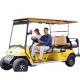 Custom Rainproof LSV Golf Cart Lithium Ion Battery For Leisure Resort Club