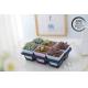 Multi Size Plastic Seedling Trays 6, 12, 20, 24, 40 Cells Durable for Gardening