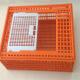 Pure PE Poultry Carrier Crate Chicken Transport Cage Customized